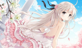 动漫美女一丝不挂,动漫美女的极致诱惑